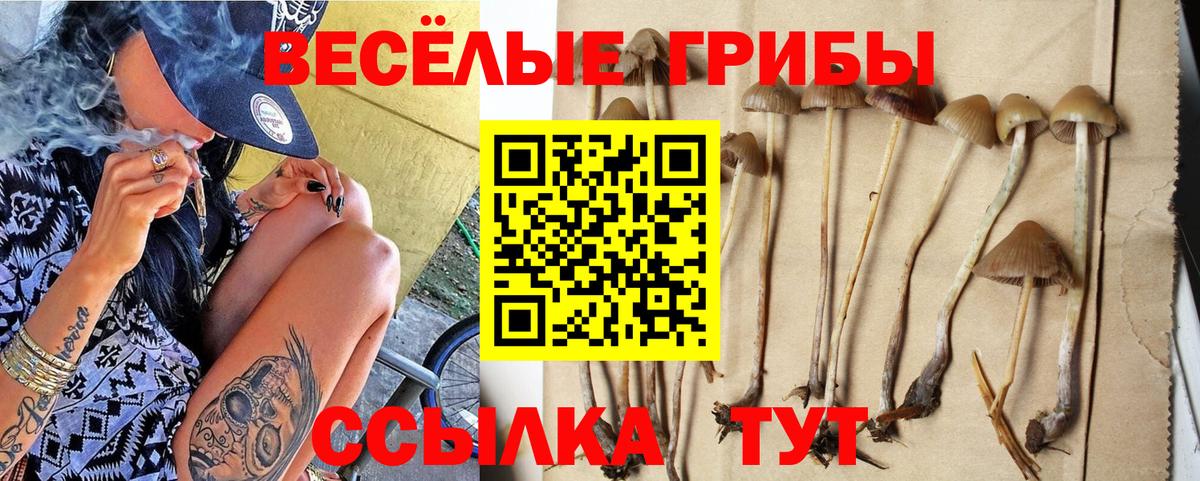 Галлюциногенные грибы мицелий Озёрск