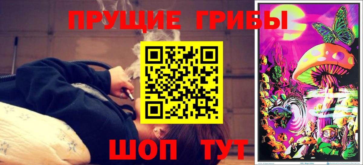 Галлюциногенные грибы прущие грибы  Вход с VPN  Озёрск  купить наркотики цена  Галлюциногенные грибы Psilocybe 